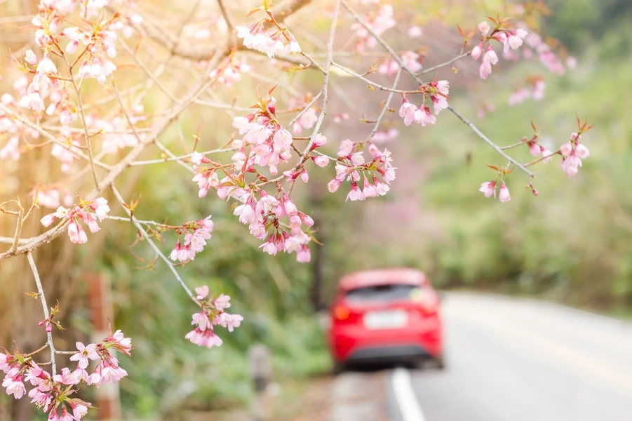 Why Spring Is the Best Time to Buy a New Car: Seasonal Deals Explained—Get Them While They Last