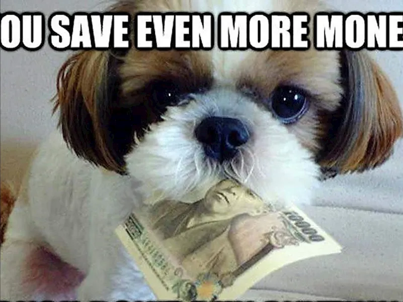 You save even more $$$ if you dont pay interest!