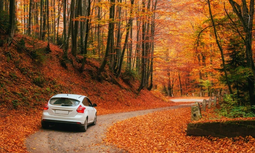 Why Fall is a Great Time for a New Car