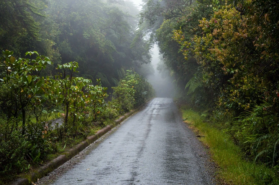 Spring Showers Ahead: How to Drive Safely in Wet Conditions 
Just call Jim