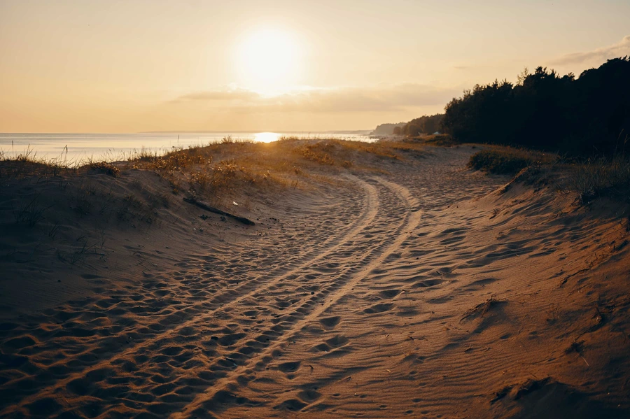 Unleash the Adventure: Top Off-Roading Features of Your Next New All Terrain Vehicle