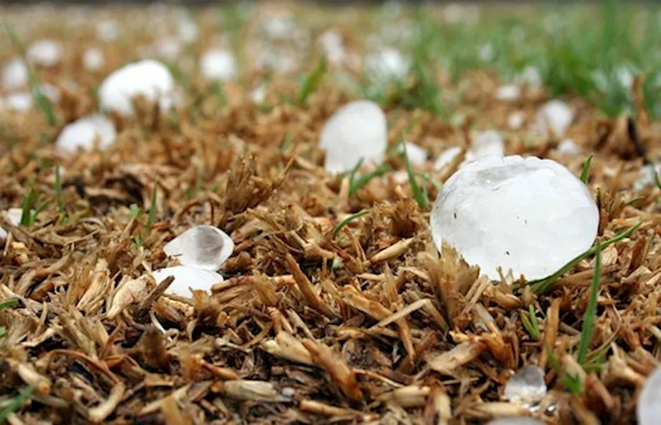 Hurricane Season Can Bring Hail Storms - Should You Drive in a Hail Storm?