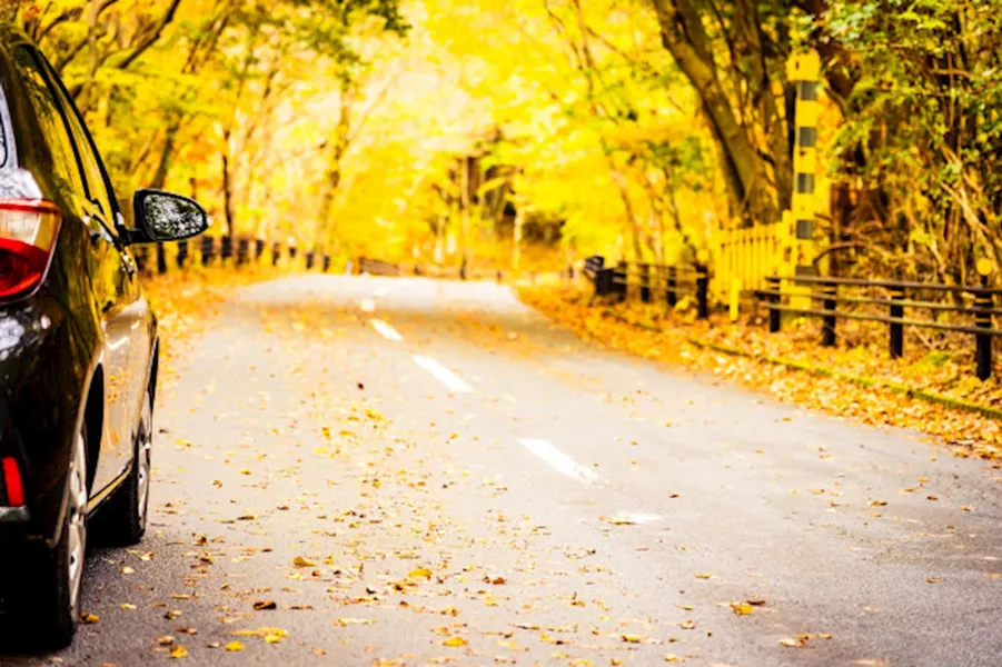 October is National Fall Car Care Month!