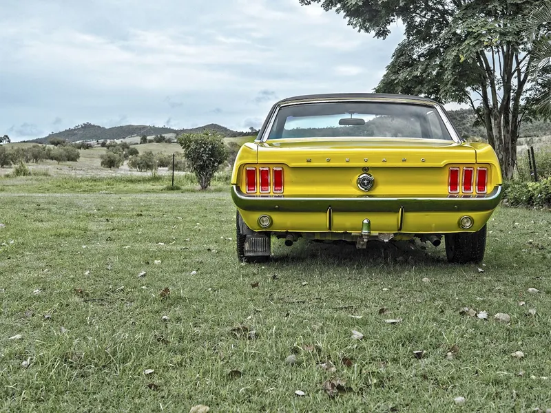 How To Check The History Of Your Used Car!