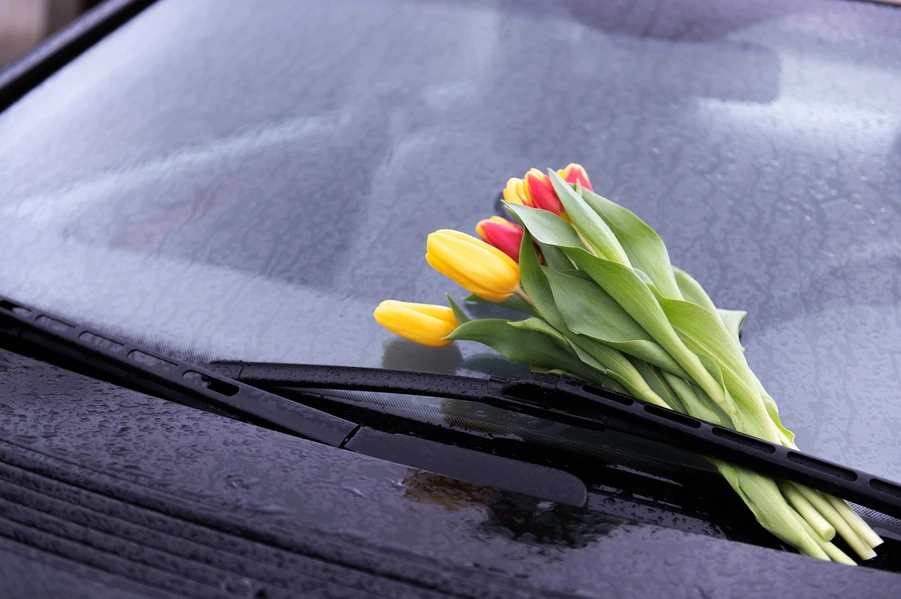 10 Ways to Get Your Car Ready for Spring