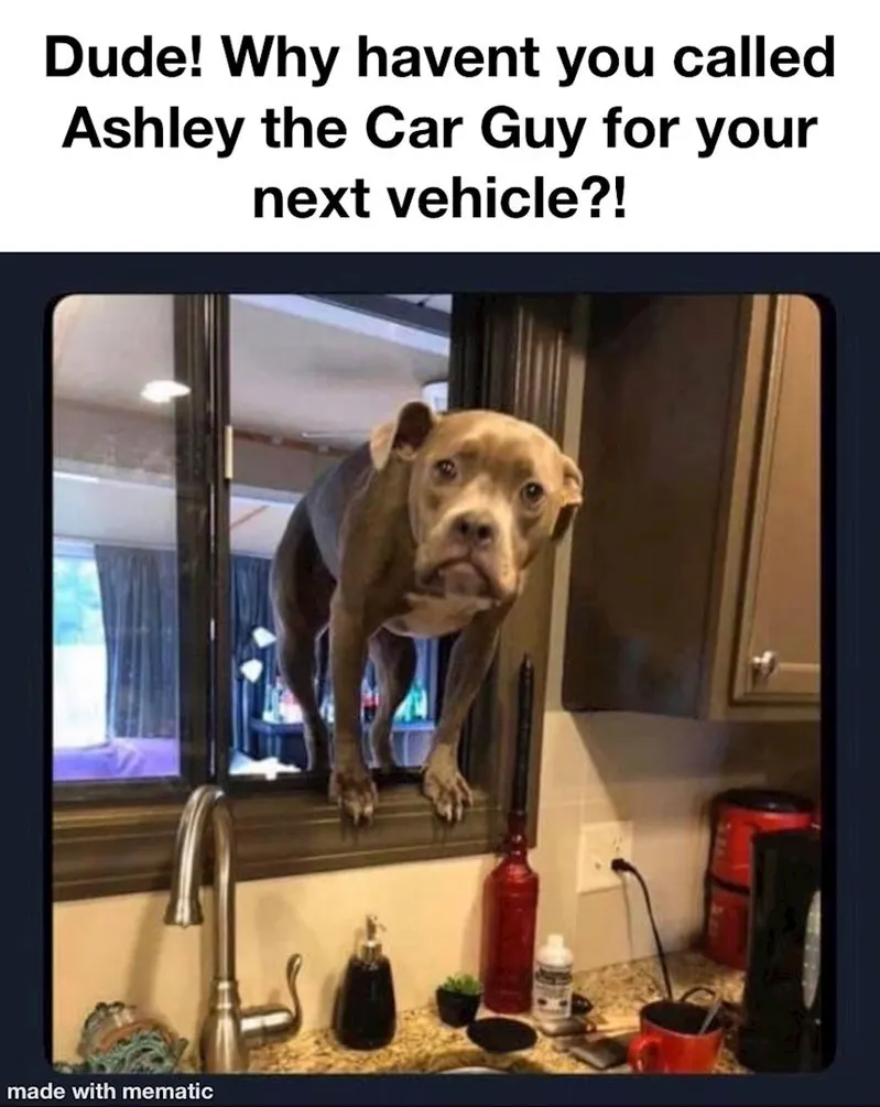 Why havent you called Ashley the Car Guy?!