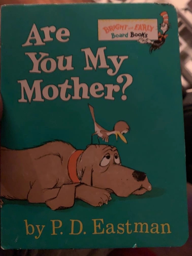 Who remembers this book?