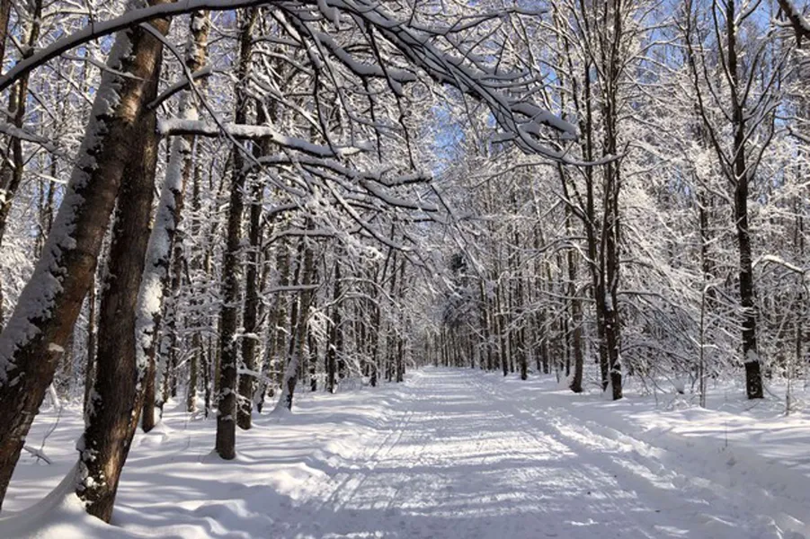 6 Tips for Driving in Snowy Weather