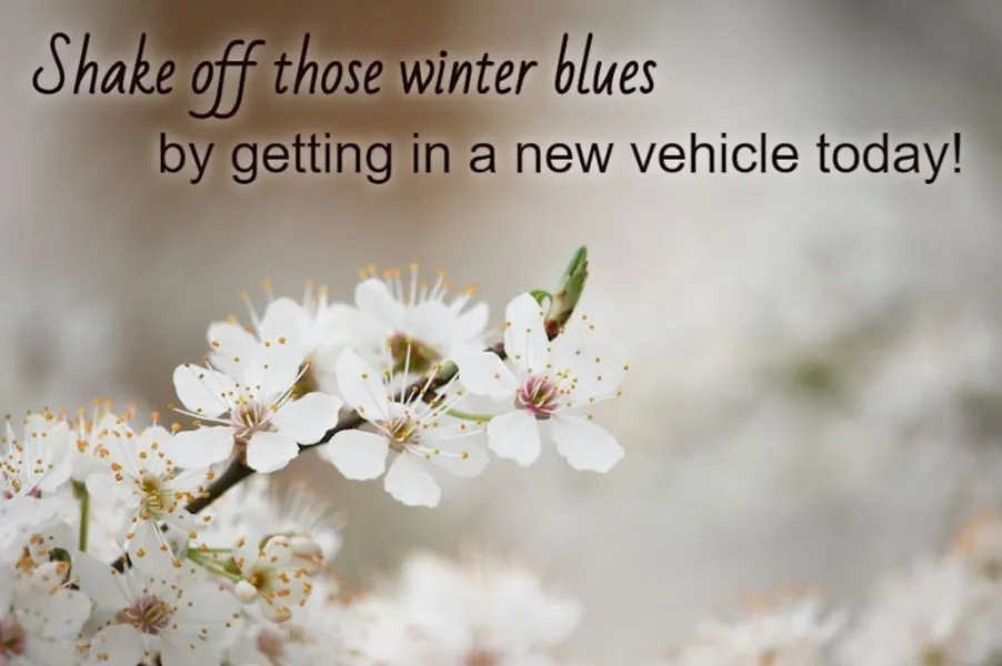 Shake Off Those Winter Blues by Getting in a New Vehicle!