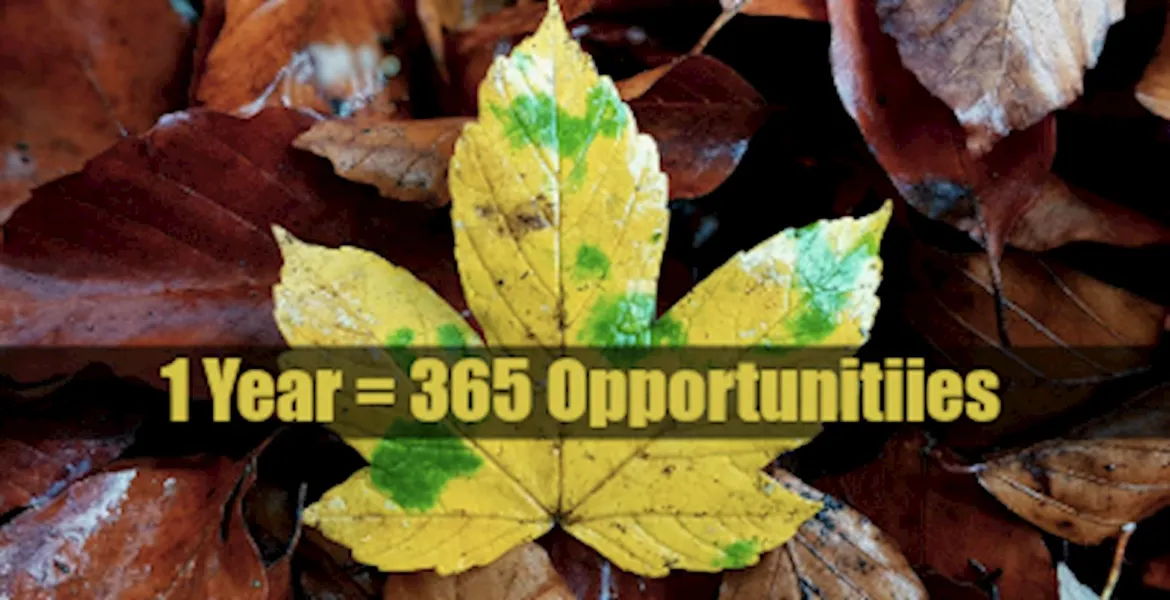 365 Opportunities