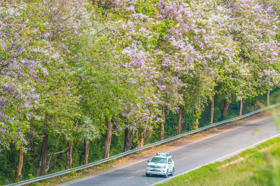 Spring into Savings: 3 Advantages of Buying a Car During Spring